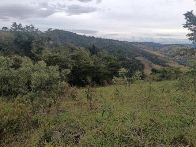 Terreno venda em Região Geográfica Imediata de Conselheiro Lafaiete, Belo Vale