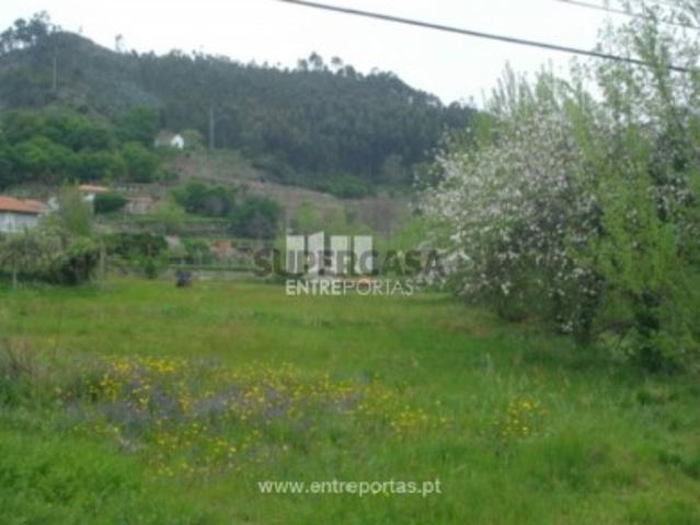 Terreno venda em Penha Longa, Porto