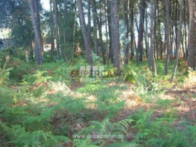 Terreno venda em Vila Boa Do Bispo, Porto