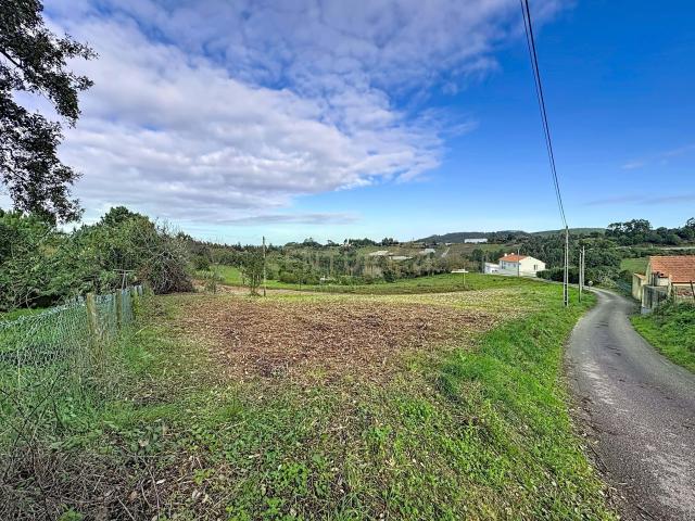 Terreno venda em Alcobaça, Leiria