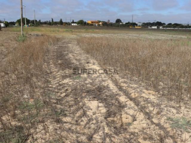 Terreno venda em Benavente, Santarém