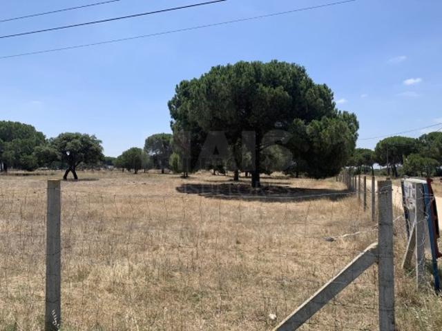 Terreno venda em Benavente, Santarém