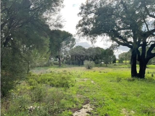 Terreno venda em Benavente, Santarém