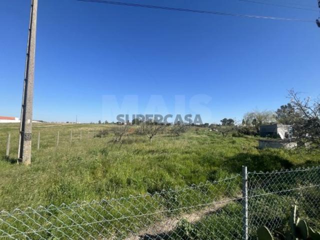 Terreno venda em Aldeia do Peixe, Benavente