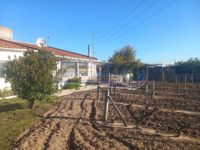 Terreno venda em Benavente, Santarém