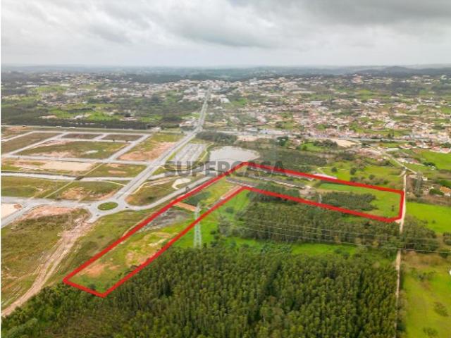 Terreno venda em Alcobaça, Leiria
