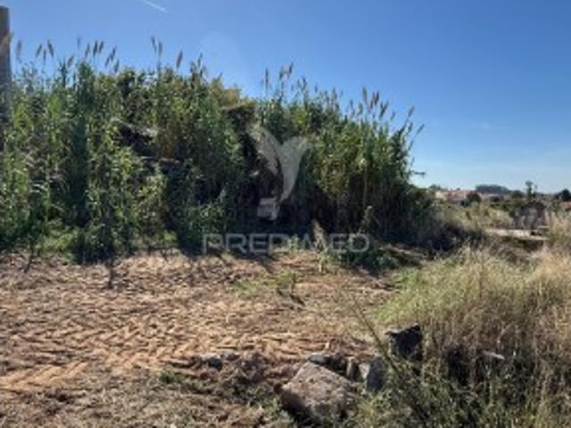 Terreno venda em Benedita, Alcobaça