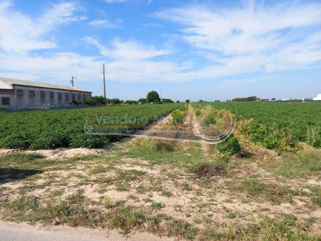 Terreno venda em Cortiçóis, Almeirim