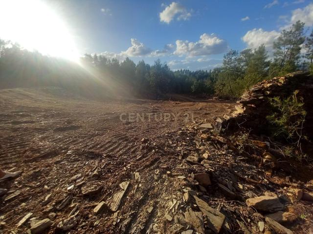 Terreno venda em Castelo Branco