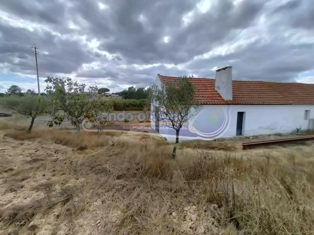 Terreno venda em Coruche, Santarém