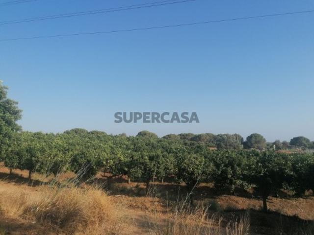 Terreno venda em Marcos Mendes, Loulé