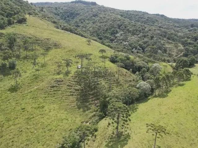 Fazenda venda em Região Geográfica Imediata de Lages, Bom Retiro