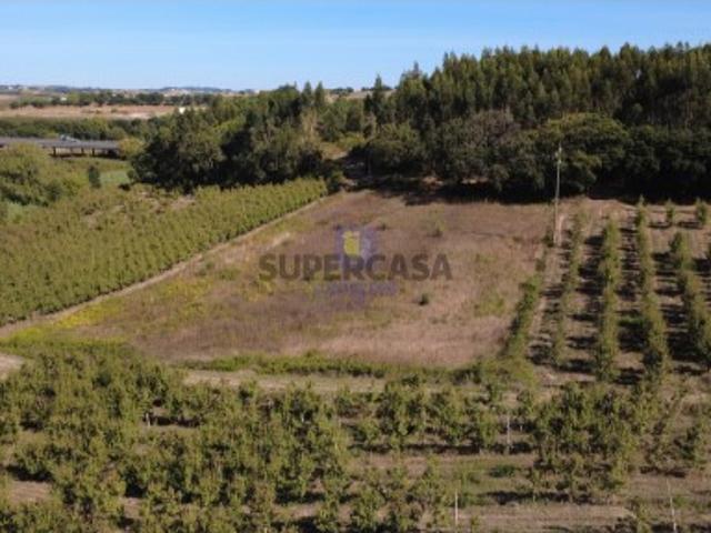 Terreno venda em Bombarral, Leiria