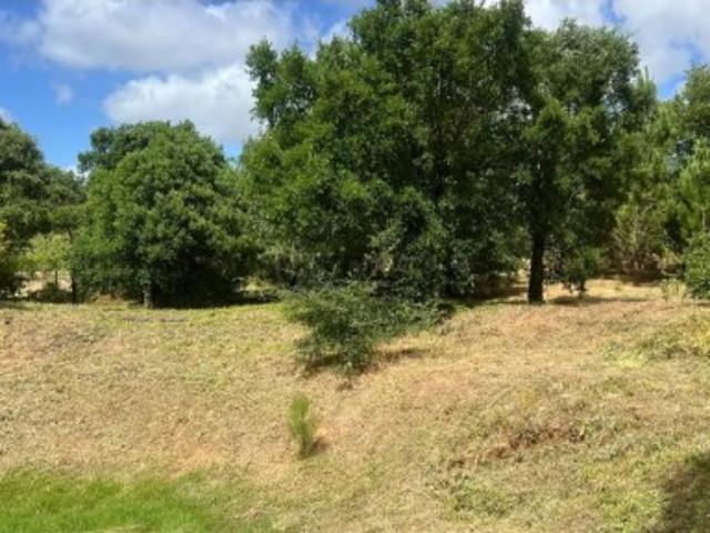 Terreno venda em Bombarral, Leiria