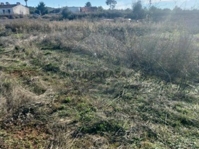 Terreno venda em Borba (Matriz), Borba