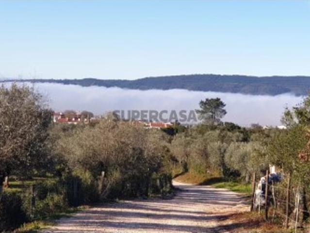 Terreno venda em Borba