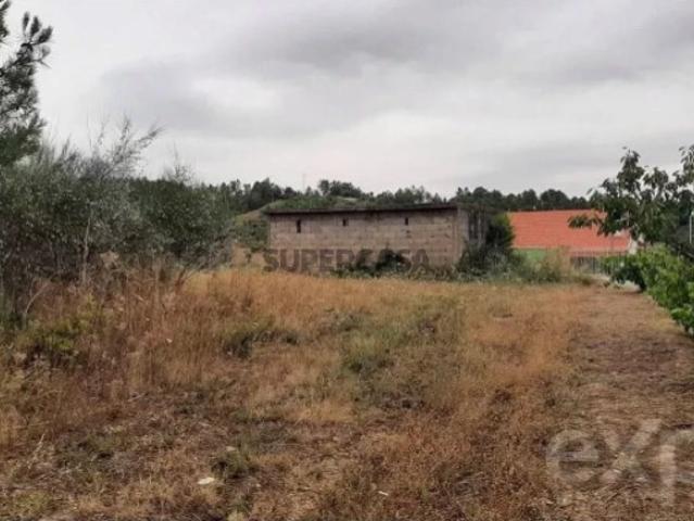 Terreno venda em Mirandela, Bragança
