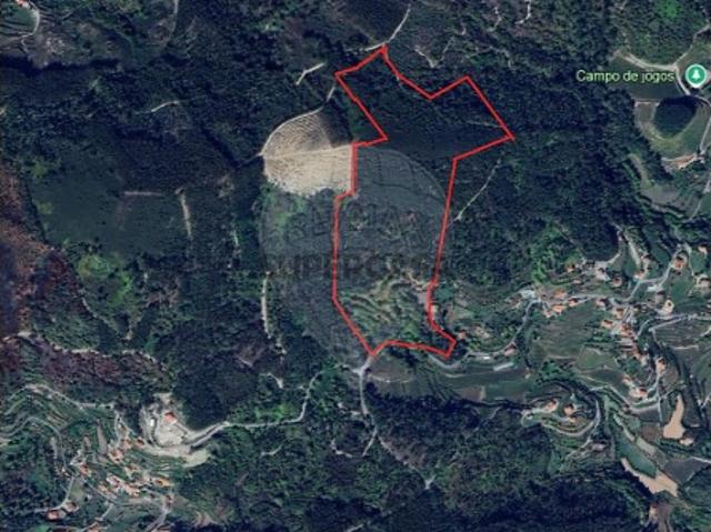 Terreno venda em Celorico De Basto, Braga