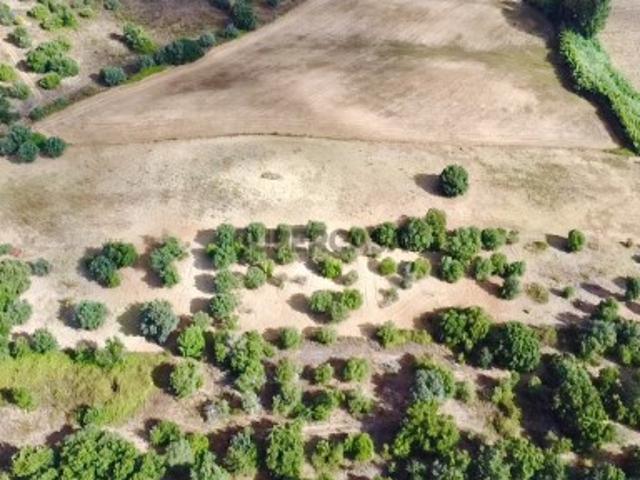 Terreno venda em Casal Cepo, Torres Novas