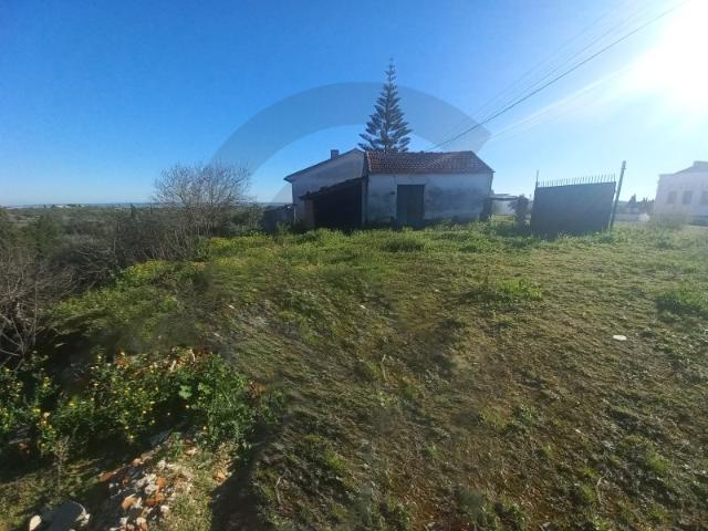 Terreno venda em Brogueira