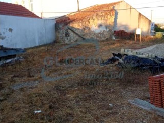 Terreno venda em Torres Novas, Santarém