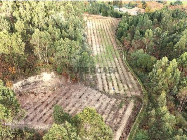 Terreno venda em Cabeceiras De Basto, Braga