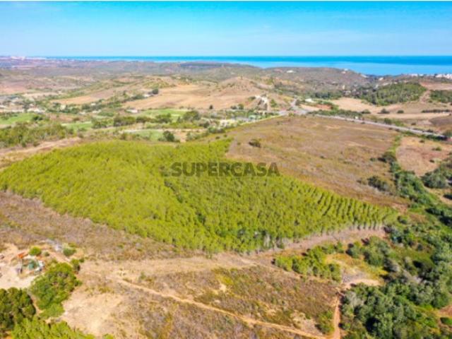Terreno venda em Vila Do Bispo, Parque da Floresta Terreno venda em Vila Do Bispo, Parque da Floresta