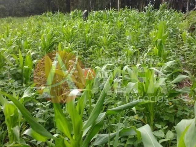 Terreno venda em Região Imediata de Sorocaba, Região Metropolitana de Sorocaba