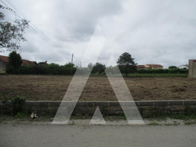 Terreno venda em Oliveira Do Bairro, Aveiro