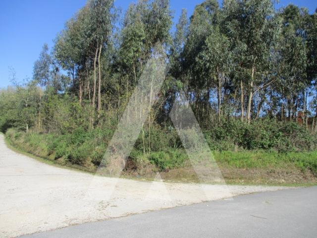 Terreno venda em Oliveira Do Bairro, Aveiro