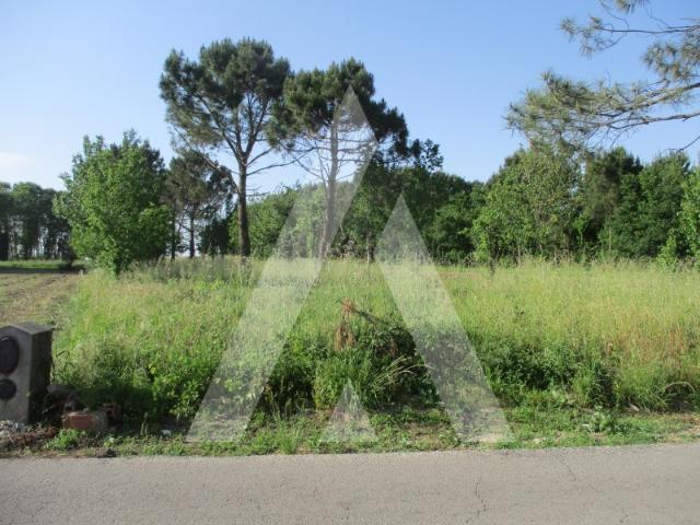 Terreno venda em Oliveira Do Bairro, Aveiro