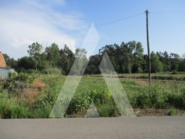 Terreno venda em Oliveira Do Bairro, Aveiro