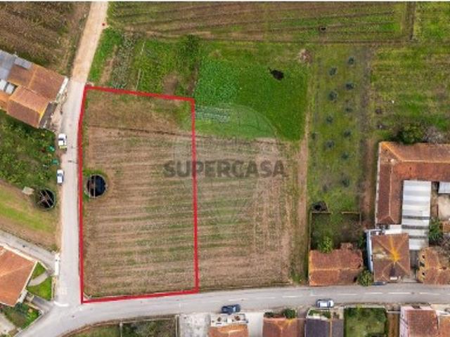 Terreno venda em Oliveira Do Bairro, Aveiro