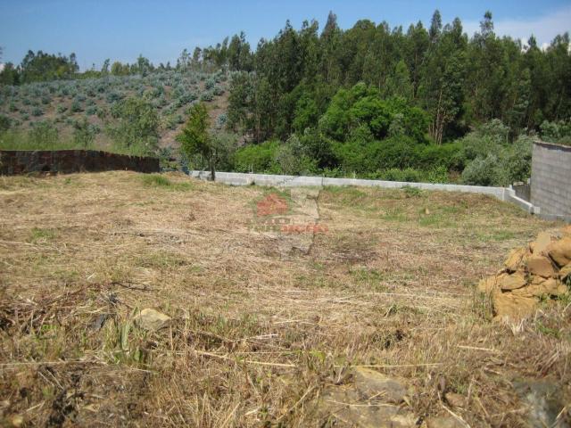 Terreno venda em Castelo Branco, Cumeada