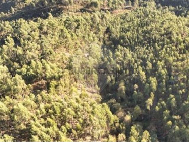 Terreno venda em Cabeceiras De Basto, Braga