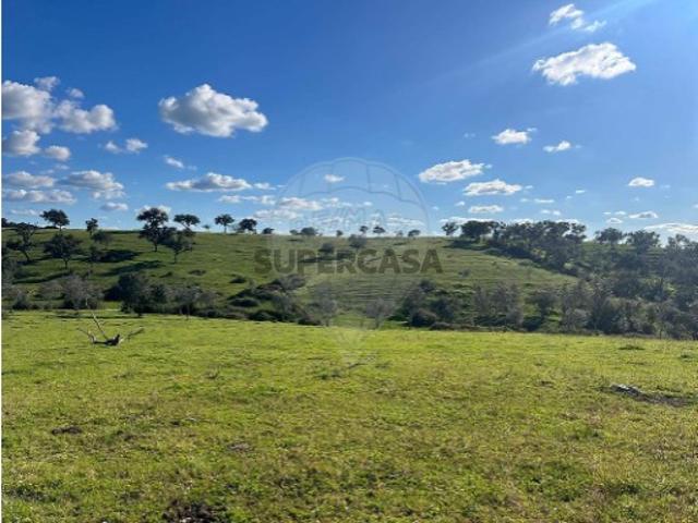 Terreno venda em Montemor-o-novo, Évora