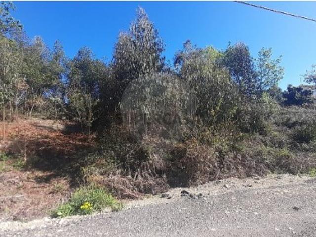Terreno venda em Cacia, Aveiro