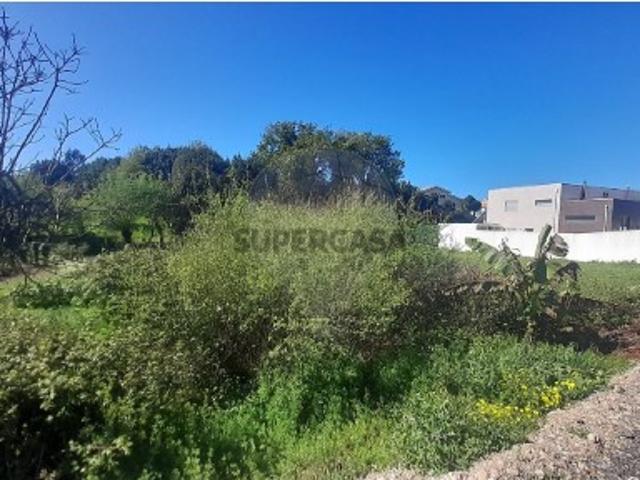 Terreno venda em Cacia, Aveiro