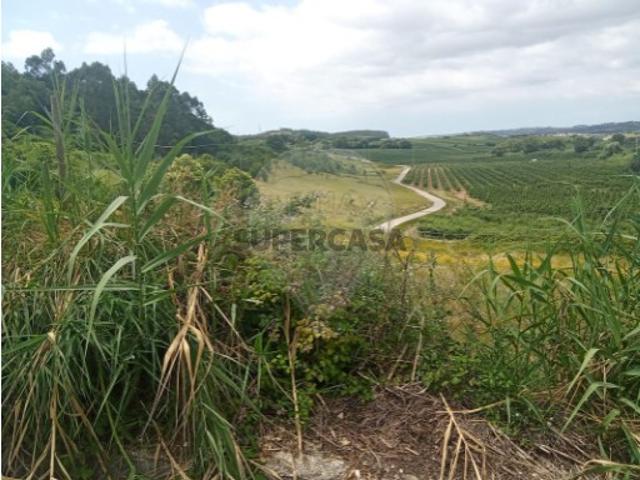Terreno venda em Cadaval, Pêro Moniz