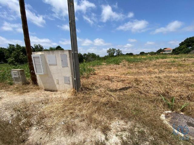 Terreno venda em Cadaval, Pêro Moniz