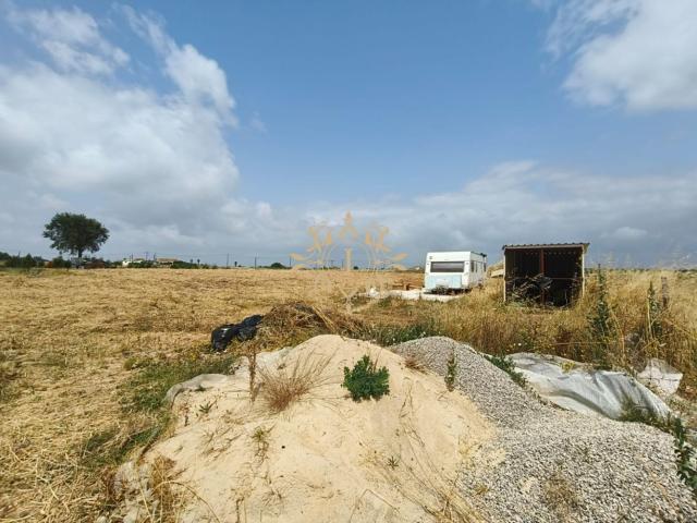 Terreno venda em Palmela, Setúbal
