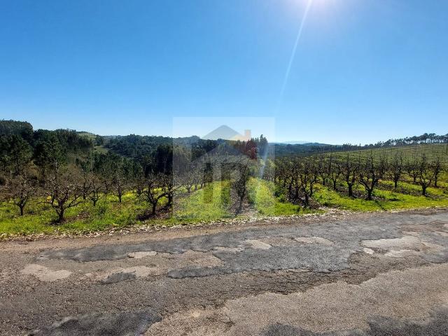 Terreno venda em Casal de Matos, Caldas Da Rainha