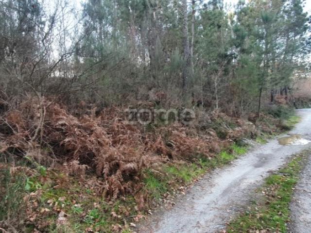 Terreno venda em Viseu
