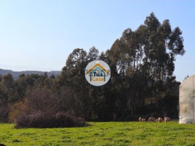 Terreno venda em Vila Nova De Famalicão, Serralho