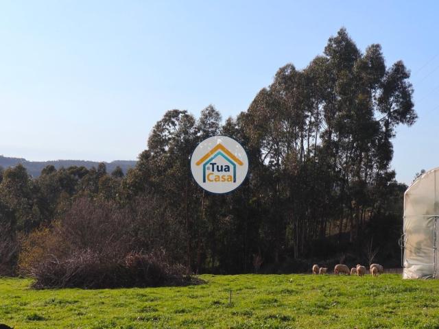 Terreno venda em São João, Vila Nova de Famalicão