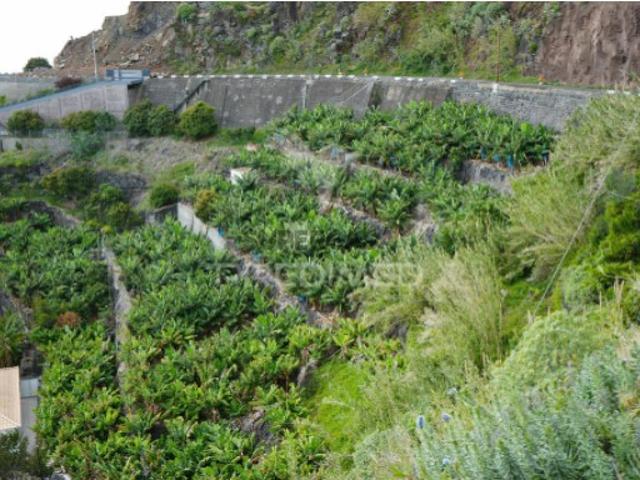 Terreno venda em Arco Da Calheta, Ilha Da Madeira