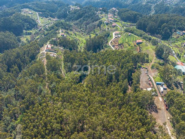 Terreno venda em Santa Cruz, Ilha Da Madeira