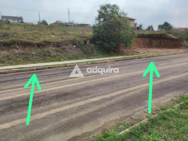 Terreno venda em Centro, Irati