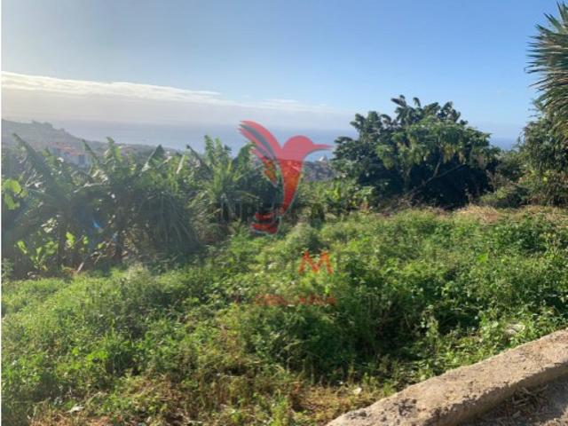 Terreno venda em Câmara De Lobos, Ilhéu Terreno venda em Câmara De Lobos, Ilhéu