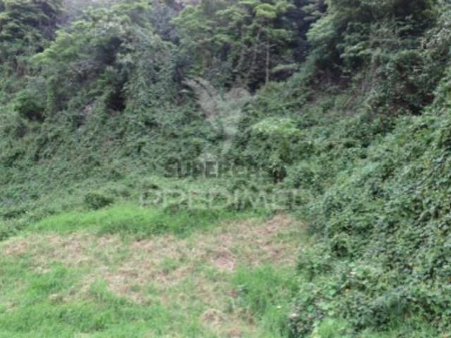 Terreno venda em Câmara De Lobos, Pico e Salões Terreno venda em Câmara De Lobos, Pico e Salões